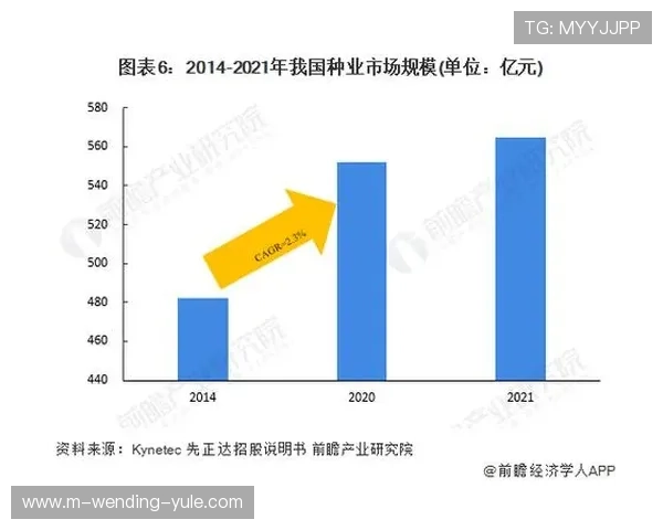 北京足球队伍数据深度解读与历史趋势全景分析 北京足球队伍数据深度解读与历史趋势全景分析